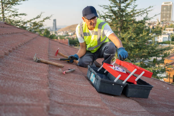Best Yard Waste Removal  in Floral Park, NY
